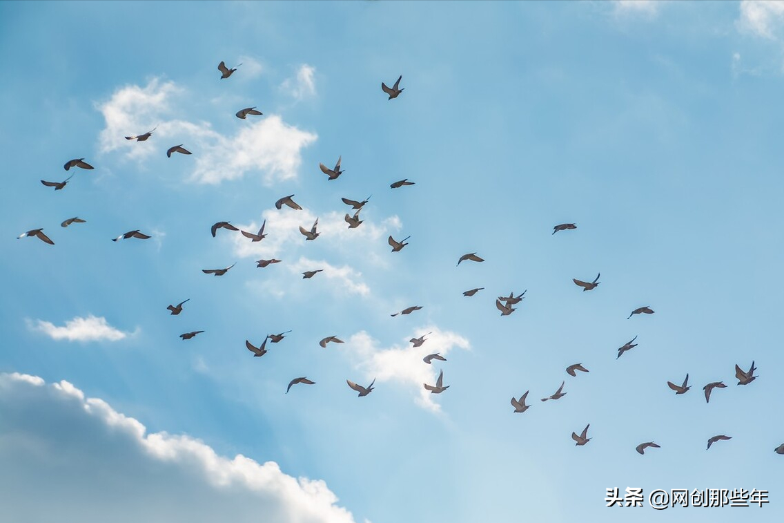 低成本创业路上遇到行业内卷有什么突破口？