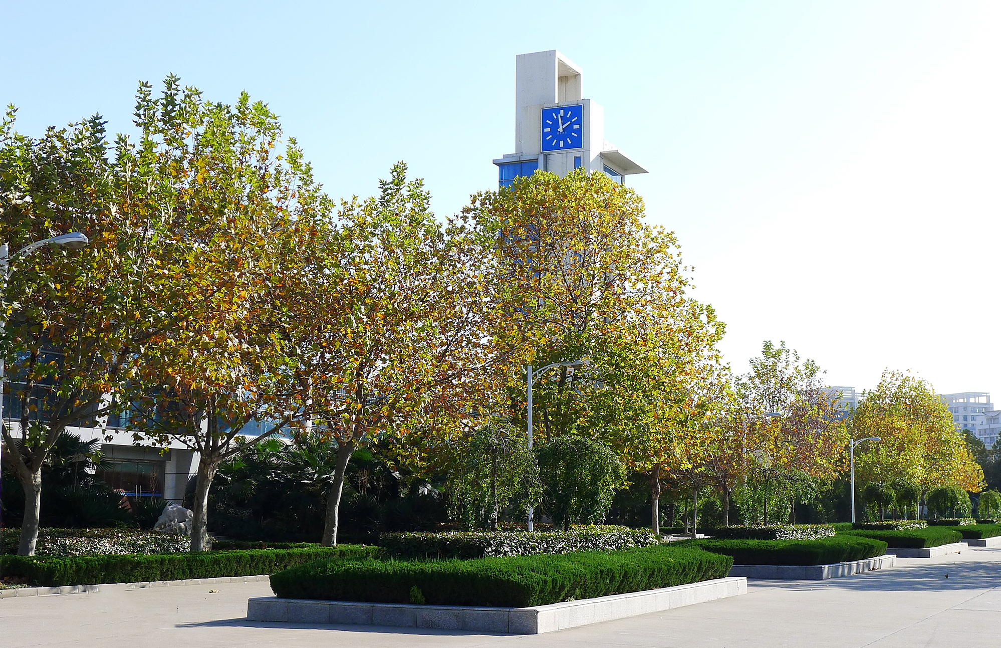 江苏盐城高考，盐城中学创佳绩，获市文理状元，高分人数全省第二