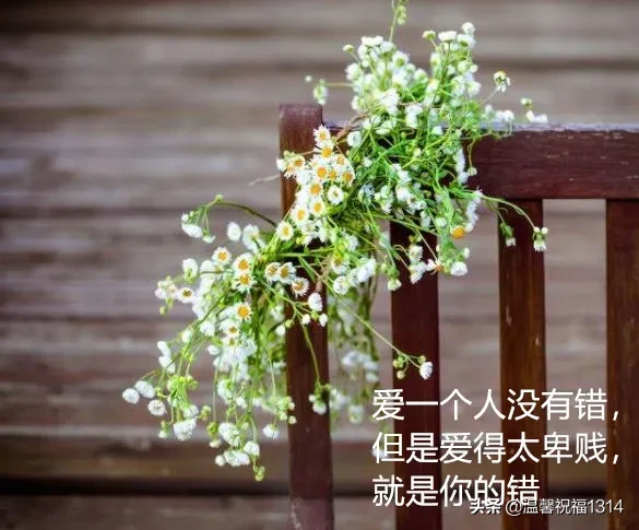 心情语录唯美短句：让人心情舒适的唯美句子图片