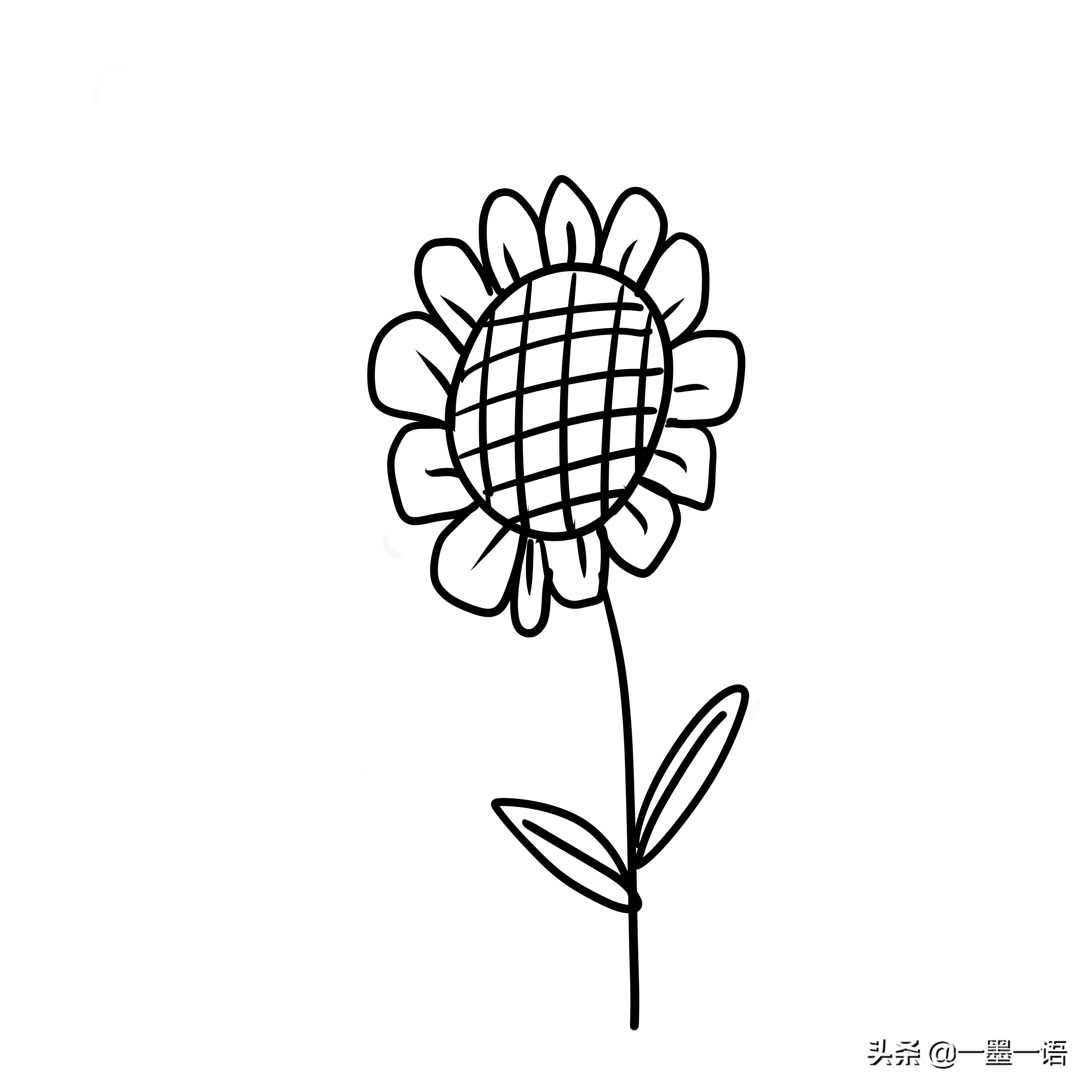 水墨丹青-线描简笔画-向日葵