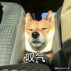 如何将MP4转换为MPG？这个方法超简单