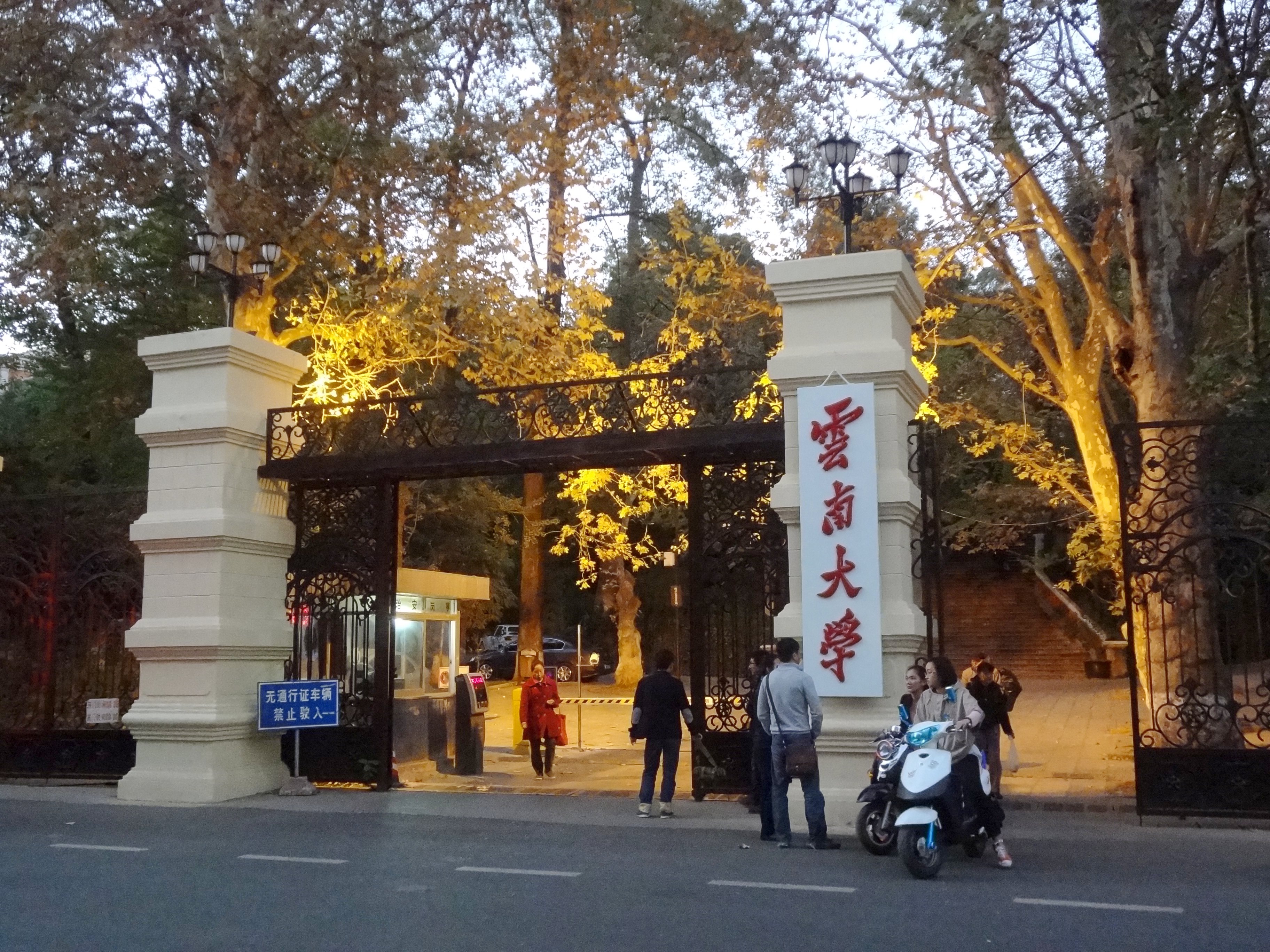 王牌专业，全国第一，但不受青睐：哲学、兵器、生态、冶金等