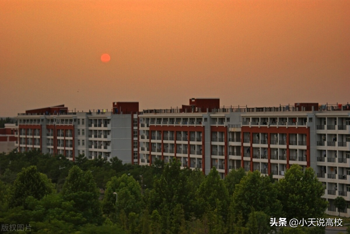 2021年河南高考分数线已经发布，省内一本（理科）怎么报呢