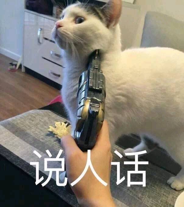 暴躁猫咪表情包：说人话