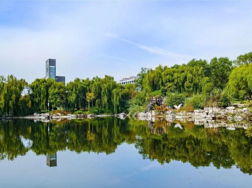 山东青年政治学院国际商务（中英合作）专业欢迎您