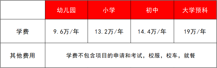 深圳国际学校学费（深圳国际学校学费10W）