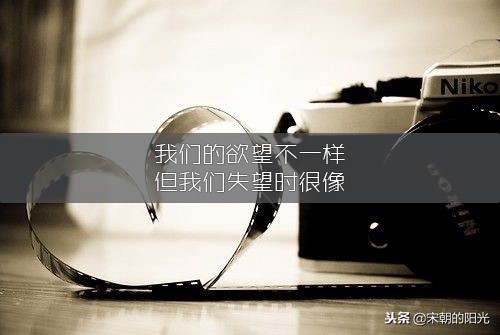 走错路，也是风景；迷途中的每一步，都是成长的印记。