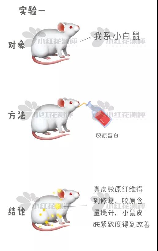 4款膠原蛋白口服液測評：貴3倍的這款最不推薦