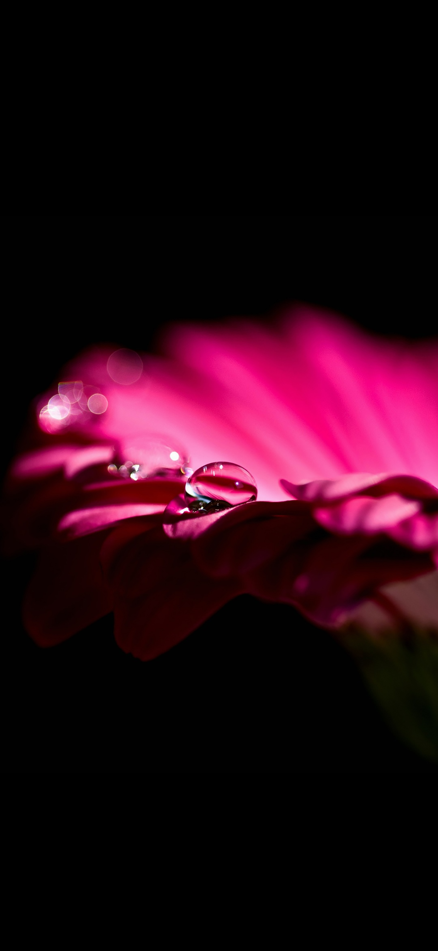 生命似雨后彩虹，你若凝视便是永恒