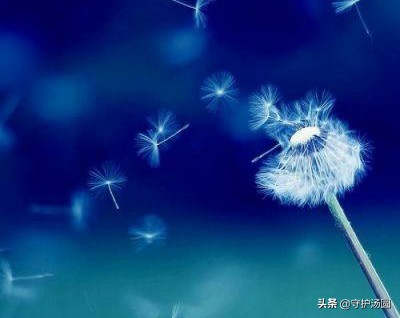 内外兼修，知行合一，黑暗中依然有光亮照着前方