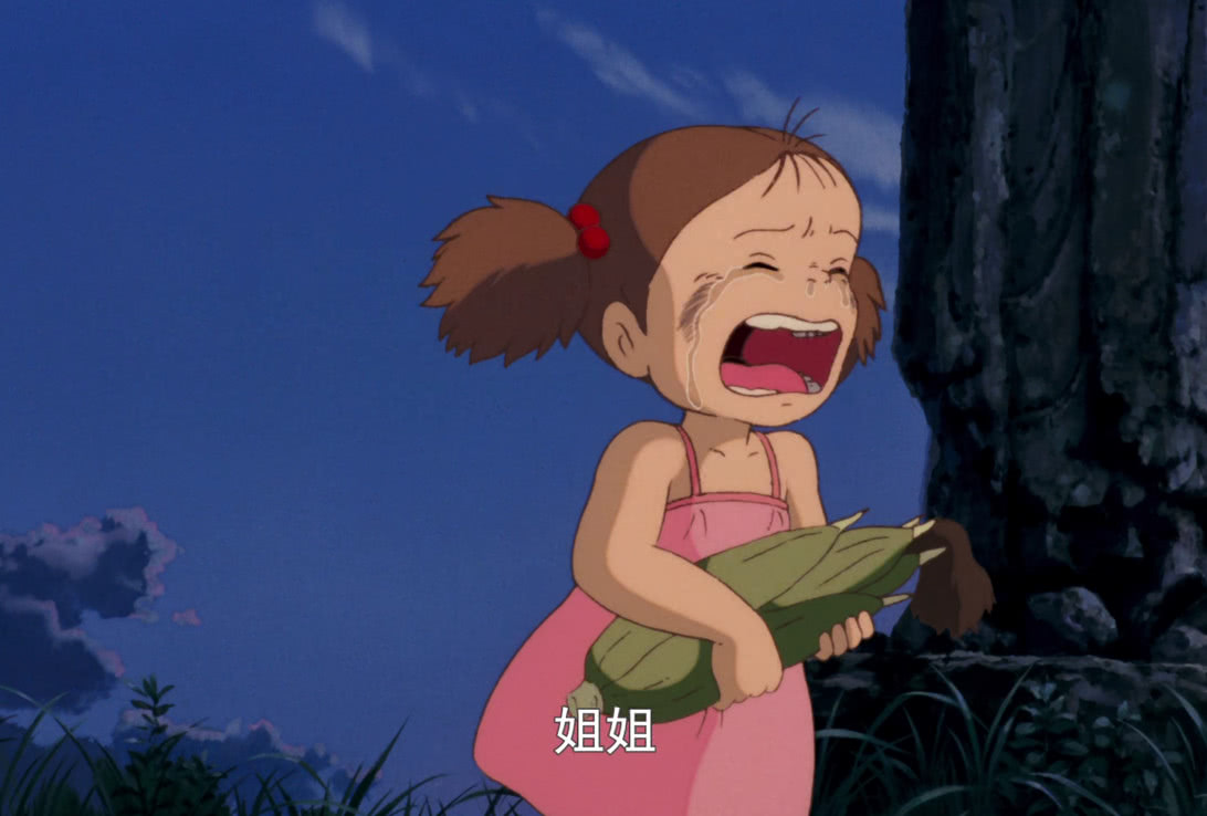 龙猫里面的小梅