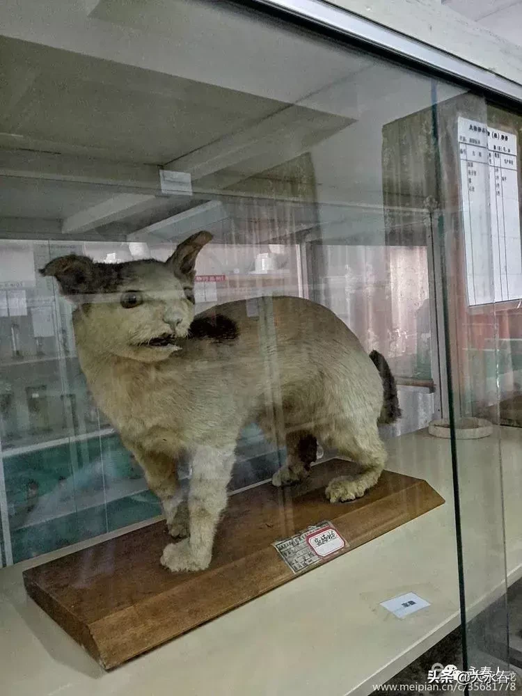 美哉！我们的永春三中