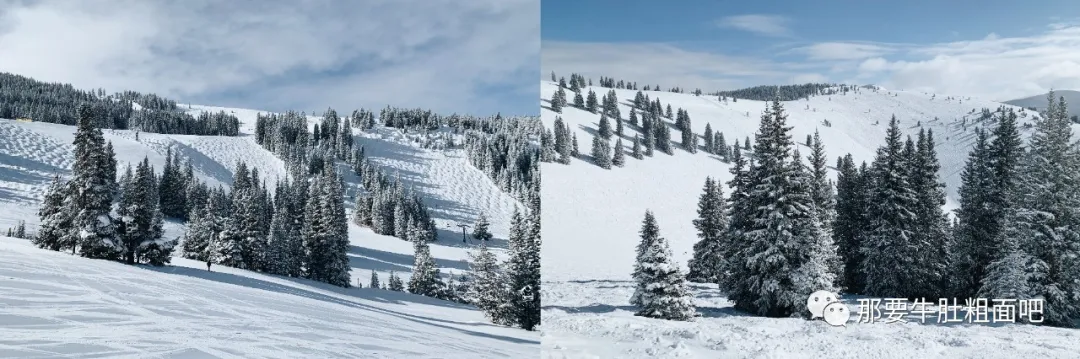 当大雪飞过那个小镇,我哪儿都不去 | 当我滑雪时我在想什么
