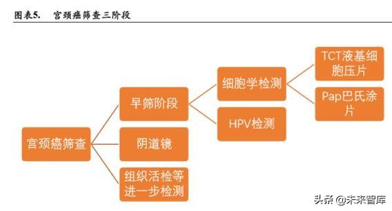宫颈癌早筛专题报告：细胞学检测 AI与HPV检测是未来趋势