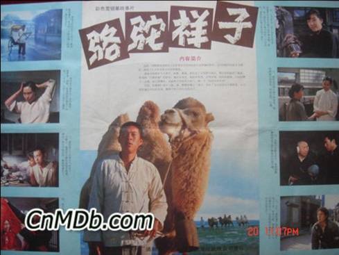 银幕上的老舍作品，你看过哪些？