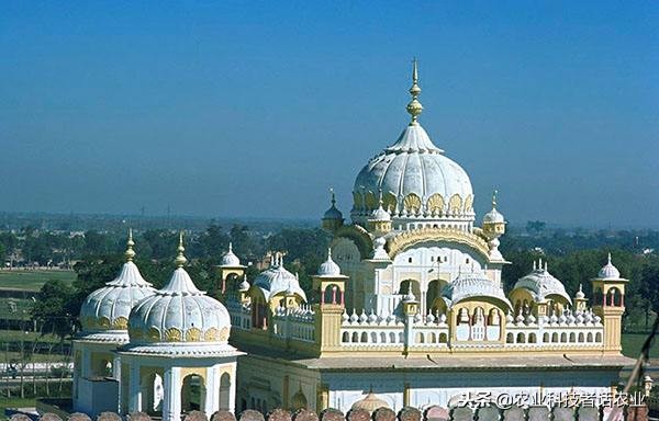 中国农大，荷兰农大，美国农大，日本农大，谁是世界第一农大