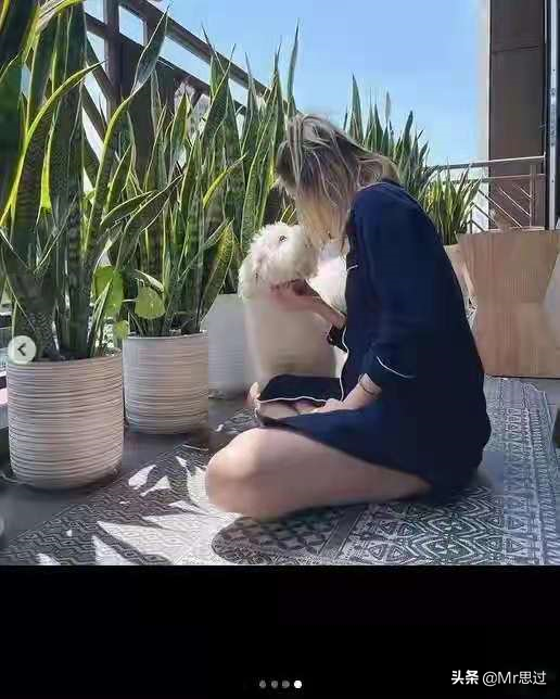 致爱狗人士：狗确实是人类的好朋友，但是希望你们可以理智爱狗
