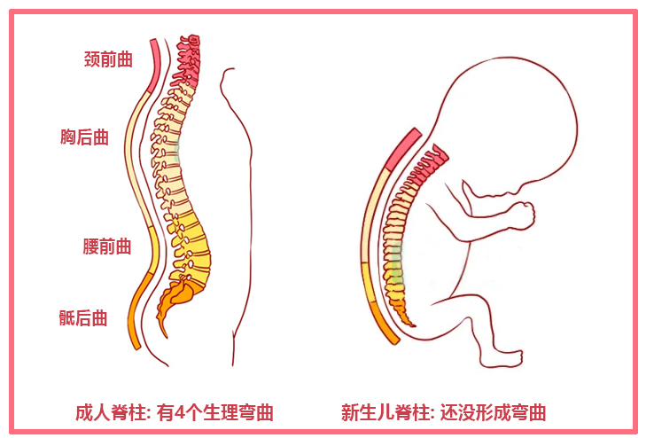 给新生儿选婴儿推车，这几个“细节”要重点看看，为娃发育考虑