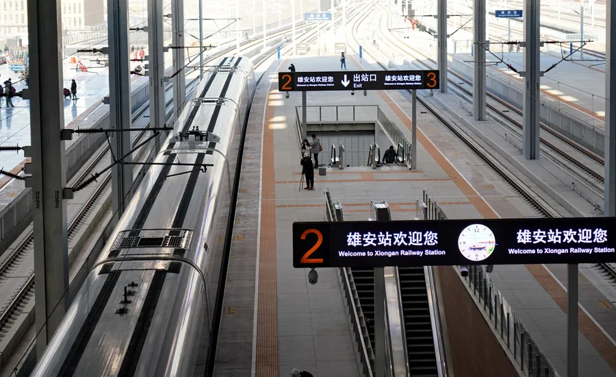 到雄安去！央企、高校、医院等推进搬迁，未来之城雏形铺展