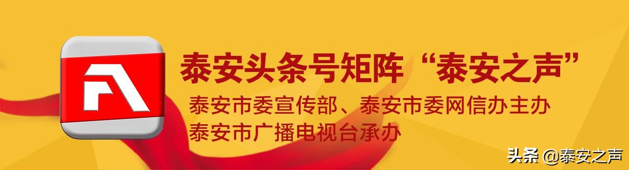 岱岳区、东平县发布事业单位招聘简章！28日起报名！