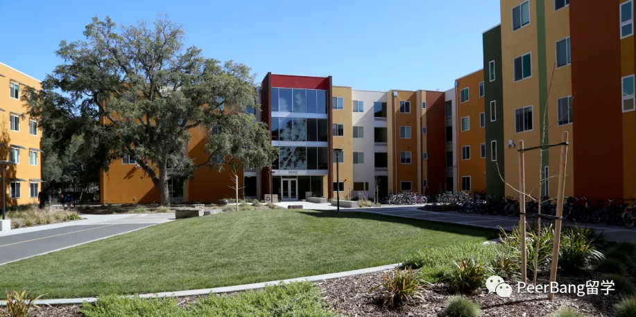 美国前40里，录取率最友好的UC大学是哪所？