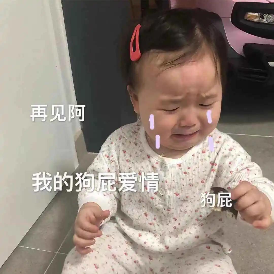 表情包：我闭嘴行了吧？