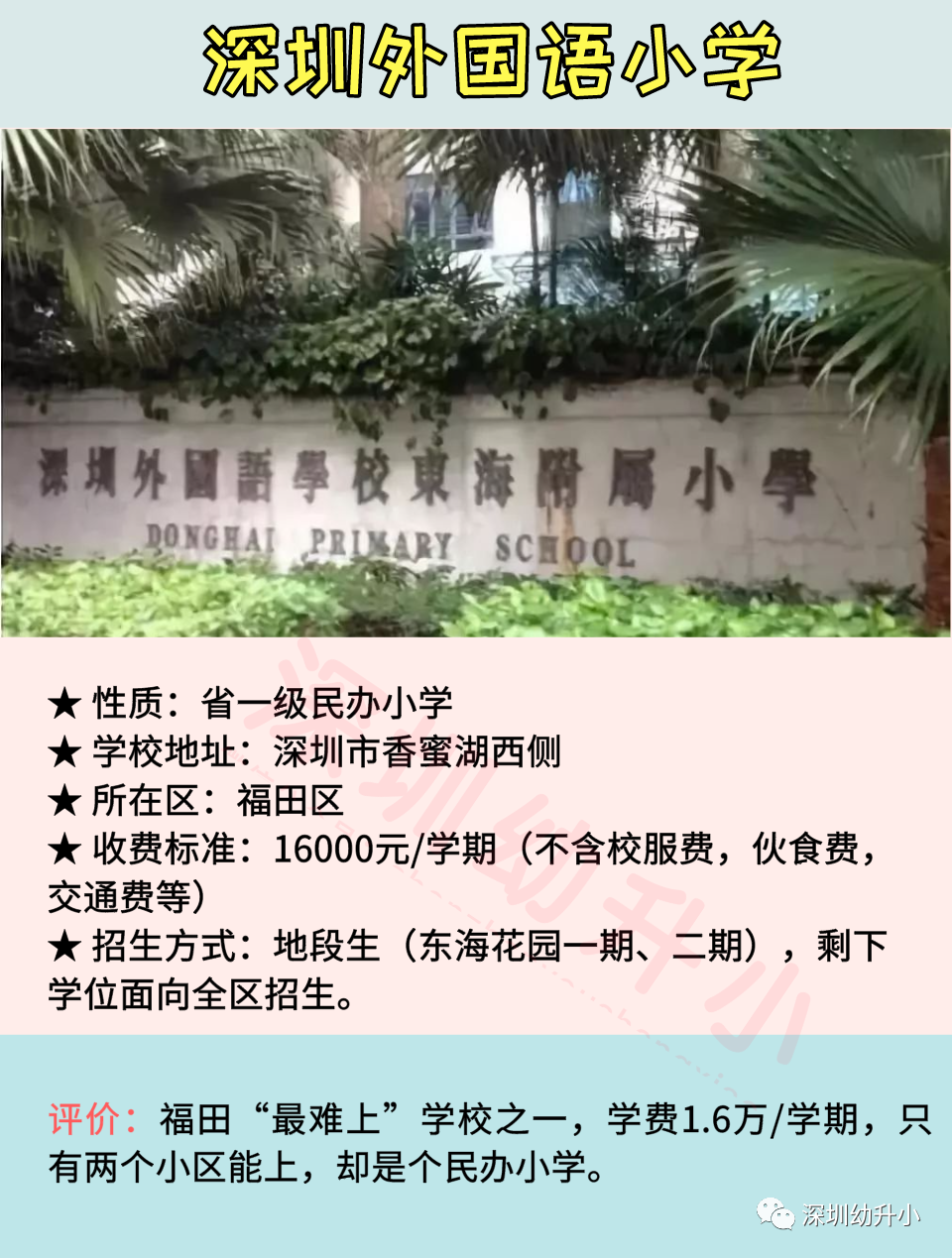 2020深圳十大热门小学盘点！师资优、评价高！多数地段生优先