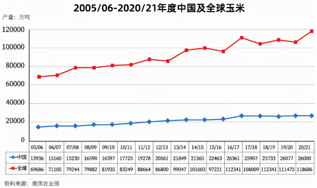 玉米秋成晒满场 期价冲高见回落