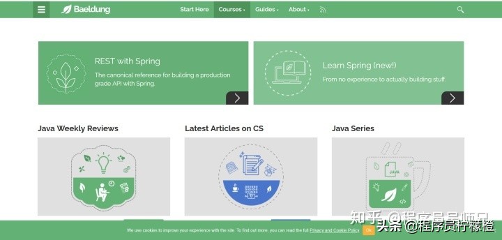 盘点 20 个编程学习教程网站，建议收藏