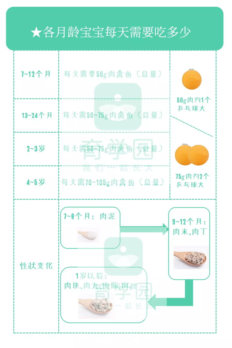 宝宝多大可以吃肉？什么肉最有营养？看这篇就够了