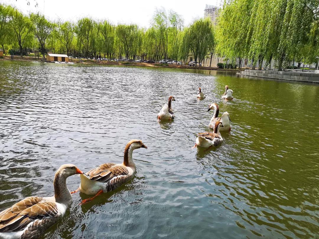 @金钱松东路36号：沈阳体育学院，遇到你真好