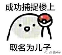 我竟然在朱元璋的族谱上看到了化学元素周期表？