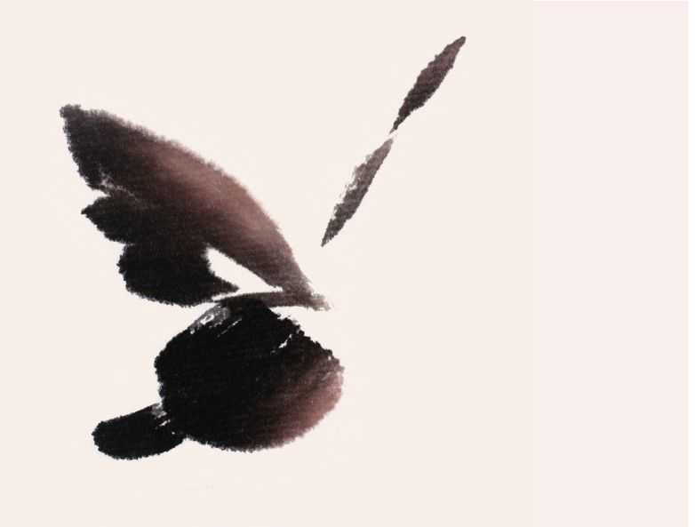 蜻蜓蝴蝶不会画？那是你没有学会这几点，简单易学的国画，快收藏