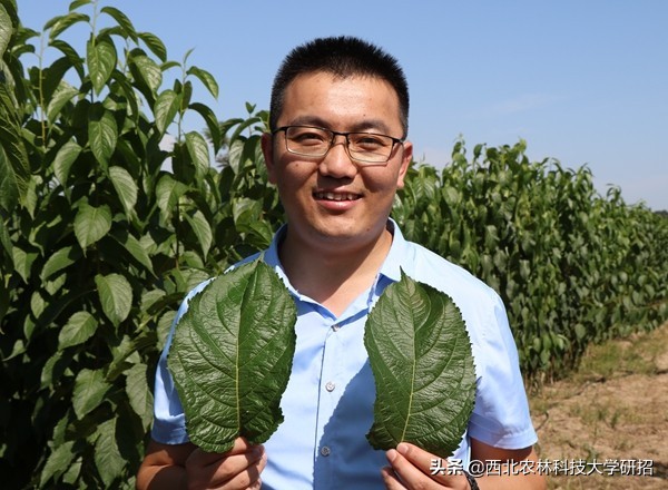 院士云集！陕西这所高校一项研究为国家挽回损失超22亿