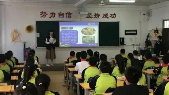 筑牢禁毒防线，共创无毒校园——沈北新区禁毒宣传进校园系列活动