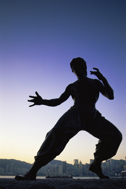 关于咏春拳英语的美文