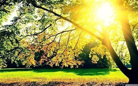 人心的山山水水,别慢待那些陪伴我们度过寂寞和孤独一路走来的友情