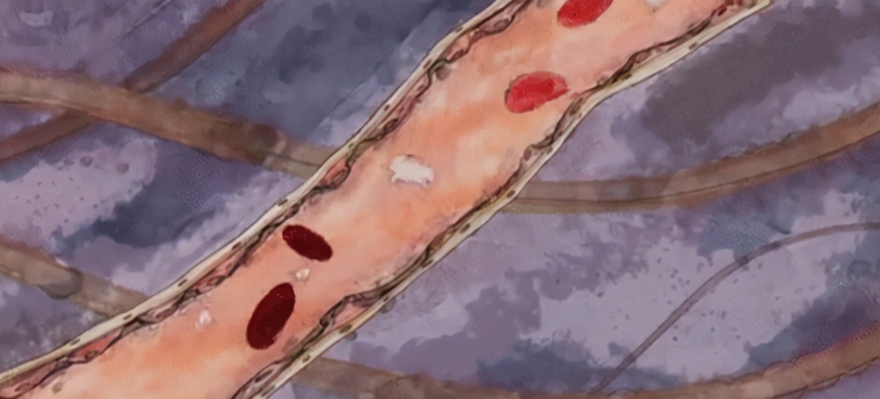 得了冠心病，整天担惊受怕的，就怕心梗猝死，该怎么办