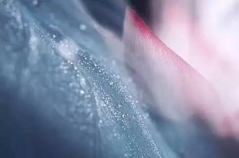 南北东西总是禅，十二首有关禅心的诗词，看古诗词里的禅意