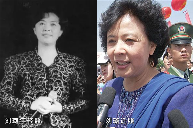 90年代的15位中央电视台本家的主持人照照了今昔萍变化的大杨澜，依然认为美鲁豫二人。