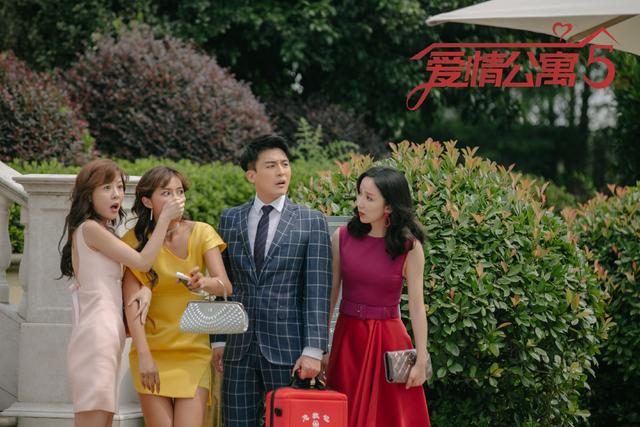 羊駝價格,羊駝價格是多少錢一只