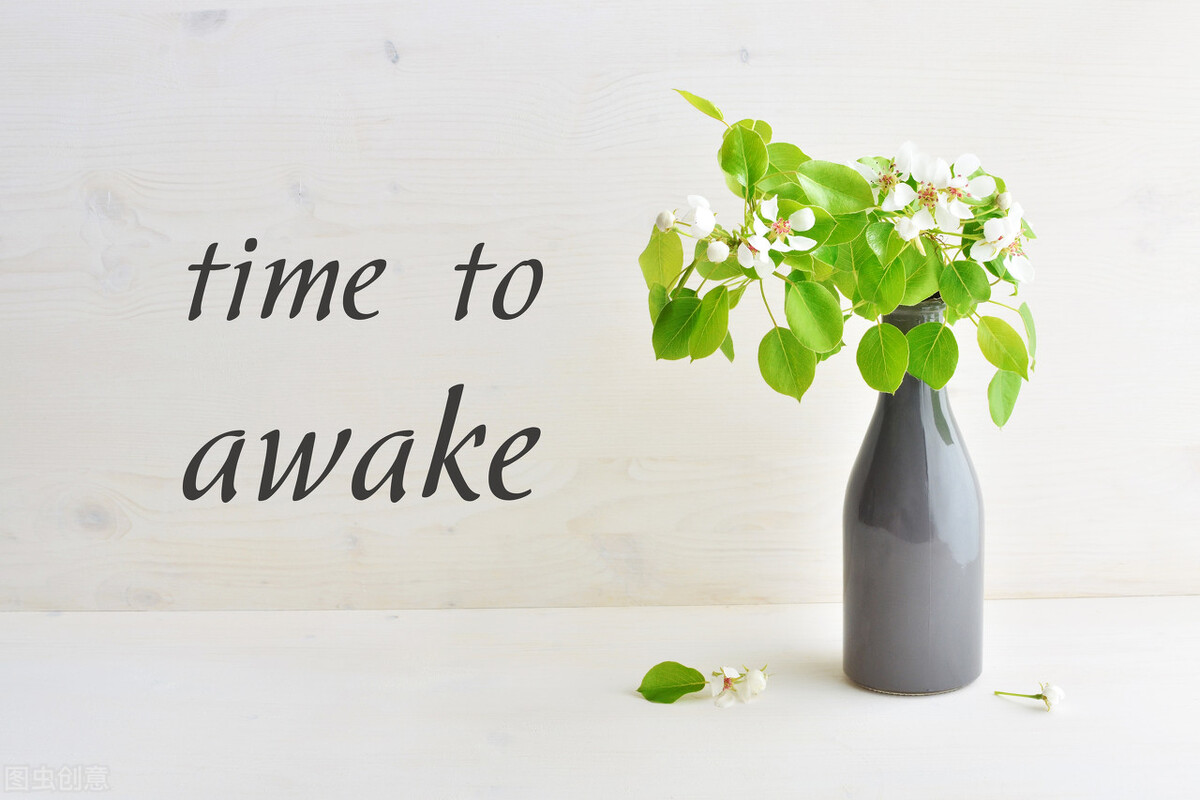 反脆弱、反矫情、反PUA，盘点那些能让你变强大的高校校训