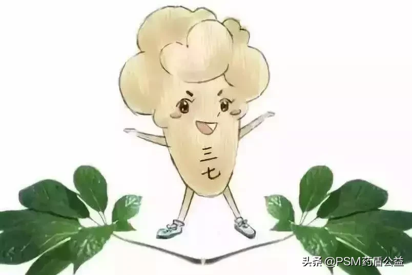 三七粉,您吃对了吗?