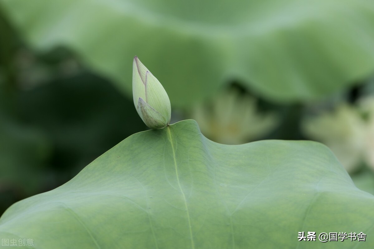 《道德经》中的宁静智慧：淡泊明志，静水流深