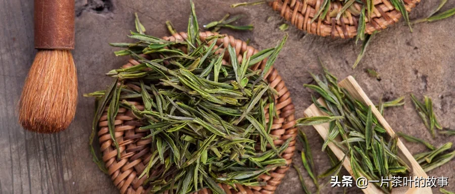 十大名优绿茶背后的传说，你知道几个？
