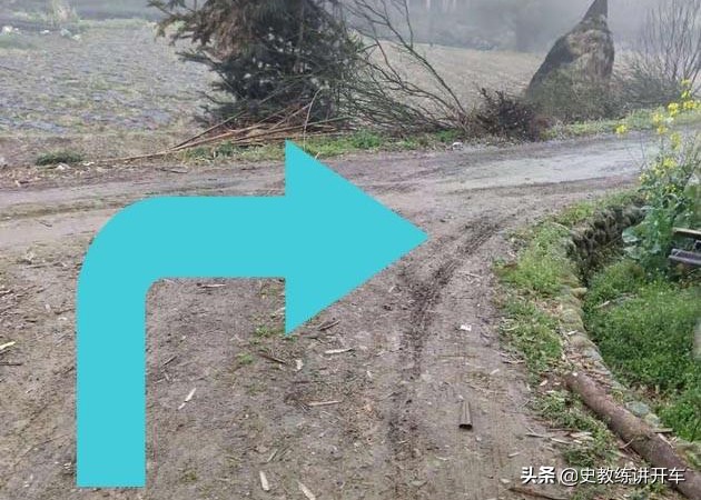 乡间丁字路口，新手司机如何借道倒车，安全通过窄路掉头？