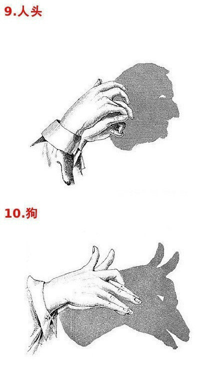 手影戏,我看到了女儿天生的创造力!_晶羽科技