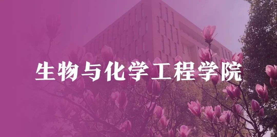 最全学院专业解读来啦！选方向挑专业，一键锁定浙大宁理