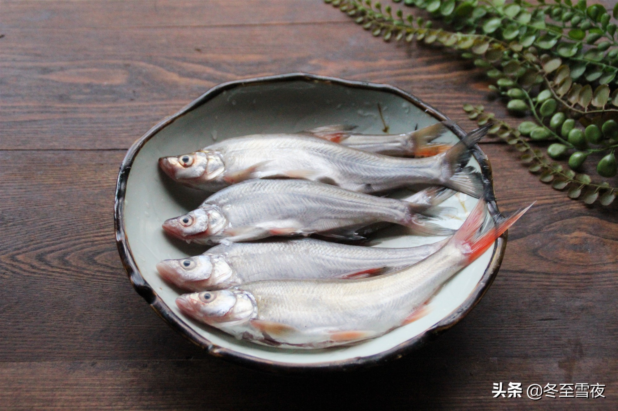 島子魚的做法,島子魚的做法大全集