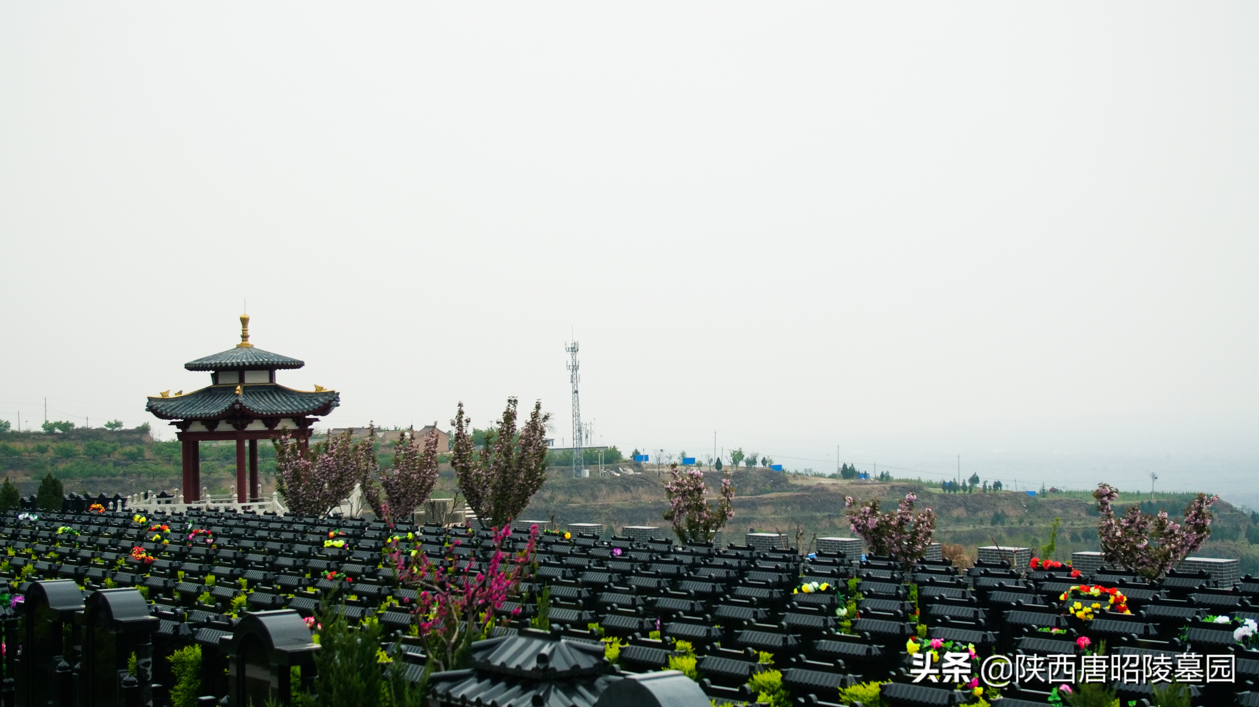 因为有一些墓地存在使用年限,而不是永久使用,所以这一点需要考察清楚
